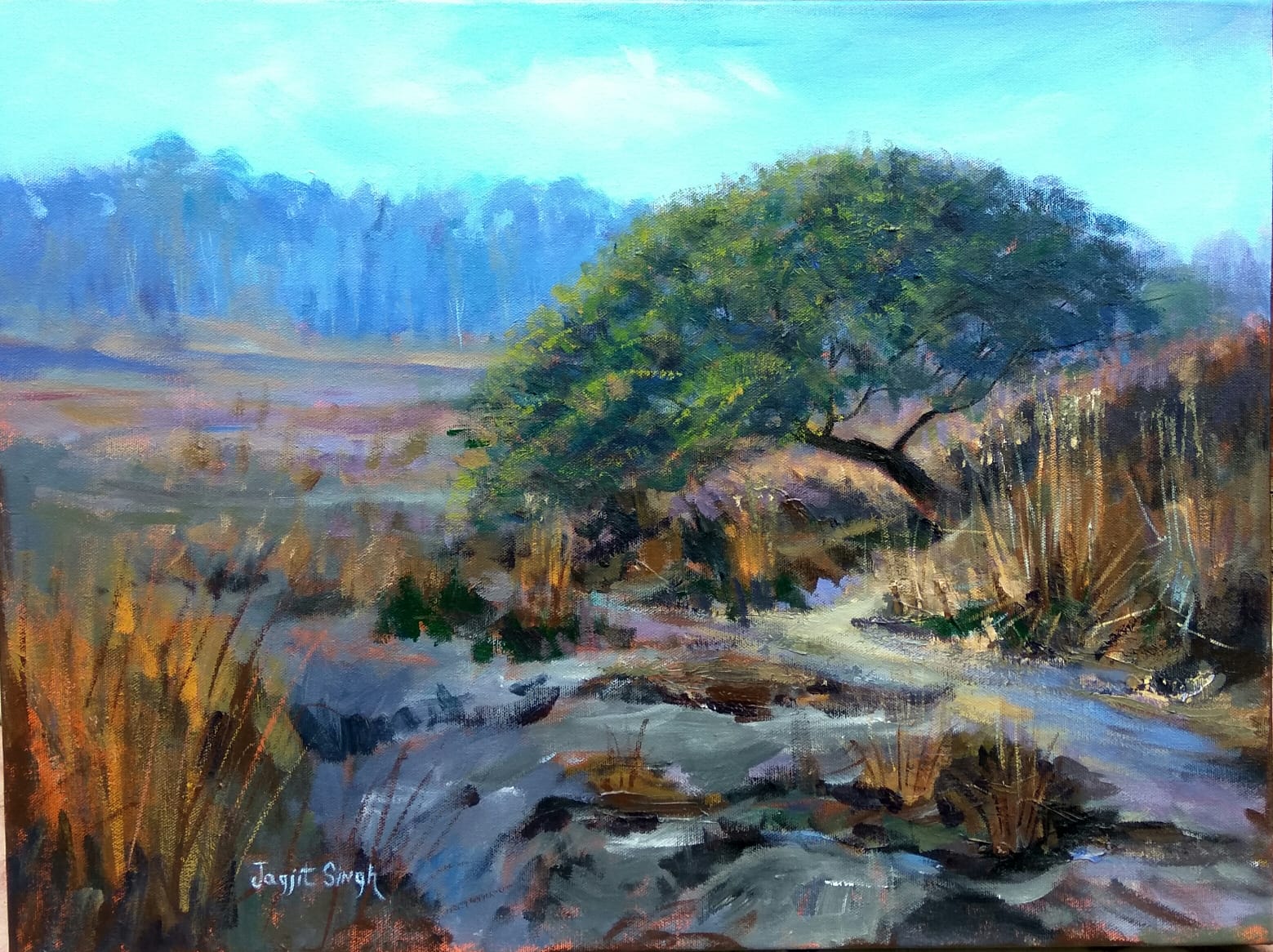 Lines of Emotional Flow Lines of Emotional Flow